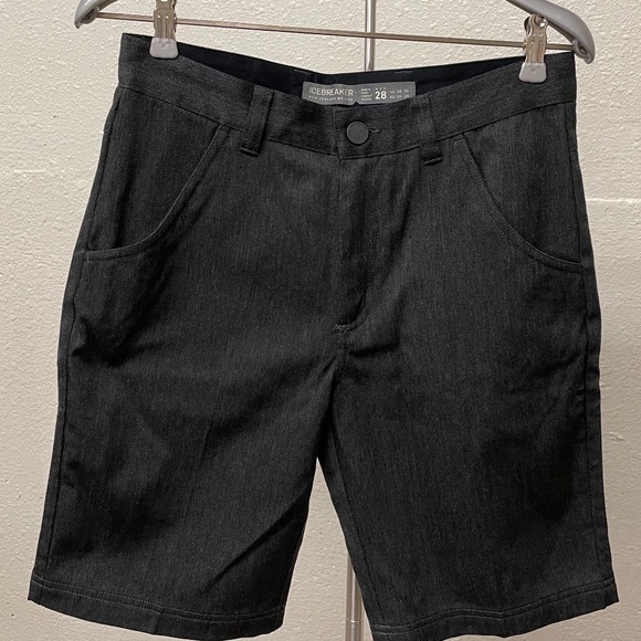 NWOT - Icebreaker Merino Wool Men’s Shorts in Grey Size 28 - Picture 1 of 5